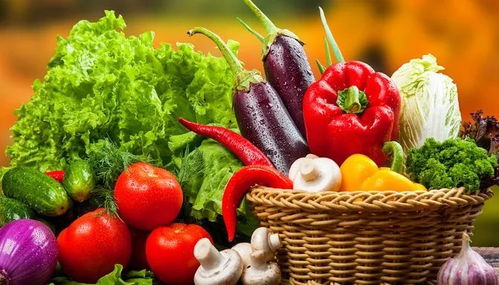 垃圾分類新潮流 苗木廢棄物如何處理？生活垃圾分類實用小妙招